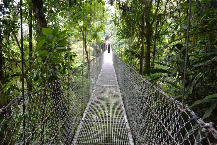 Picture Of A Steel Bridge Near The Arenal Volcano In Costa Rica