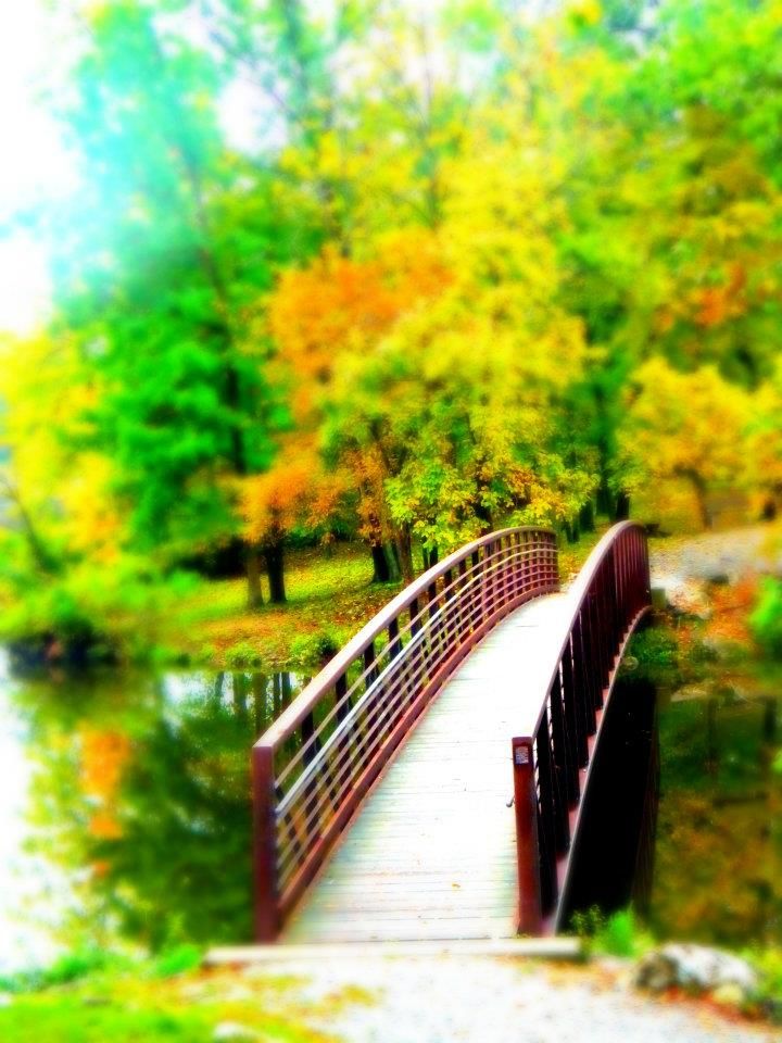 Picture Of Small Bridge Over River