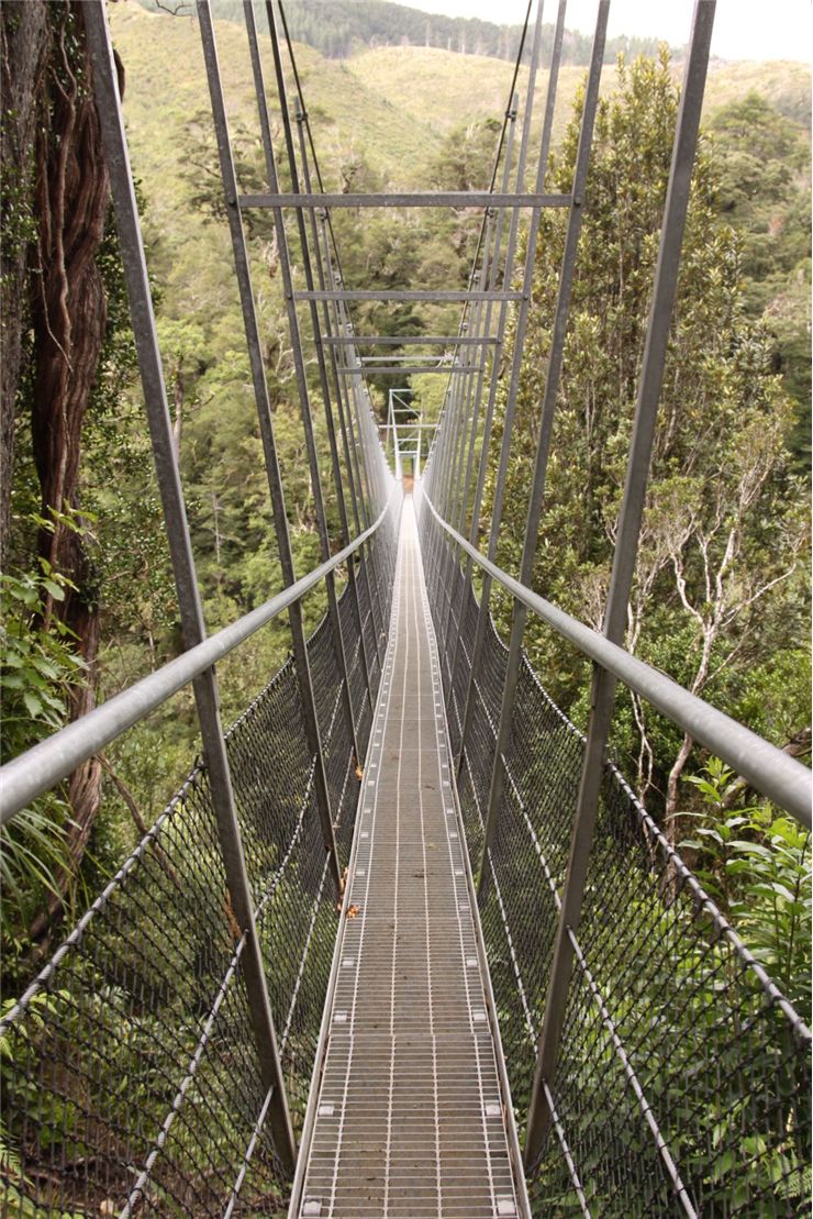 Picture Of Swing Bridge Waiohine Gorge Carterton New Zealand